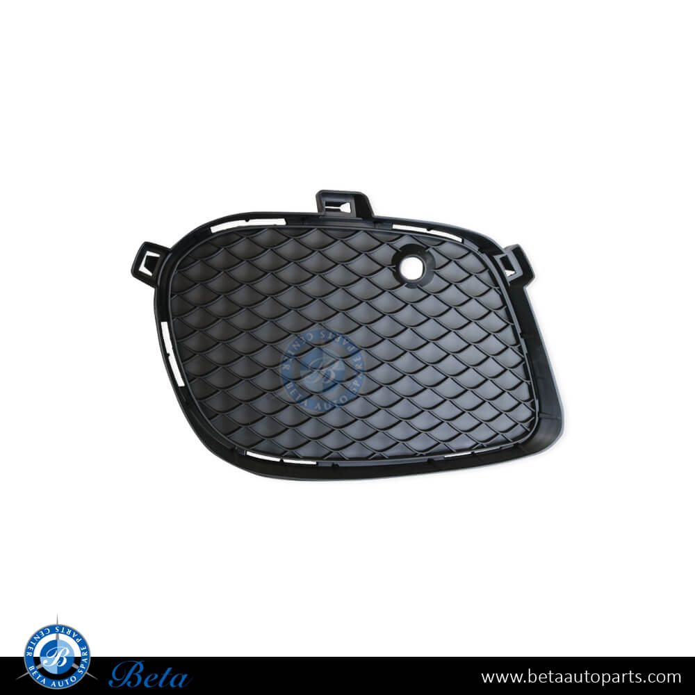 Left Side Fog Lamp Cover Normal AMG for Mercedes GLE-Class/GLS-Class W166/C292/X166 2015-2019 models, Part Number 2928855322 Left Side Fog Lamp Cover Normal AMG for Mercedes GLE-Class/GLS-Class W166/C292/X166 2015-2019 models, Part Number 2928855322